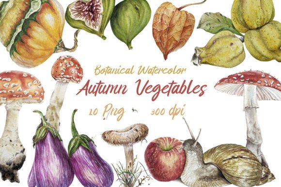 Autumn Watercolor Veggie PNGs