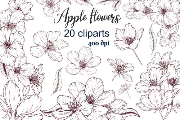 Strategic Design with Apple Flowers Vintage Style Cliparts: Elevating Brand Aesthetics and Creative Output